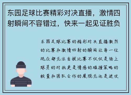 东园足球比赛精彩对决直播，激情四射瞬间不容错过，快来一起见证胜负之分